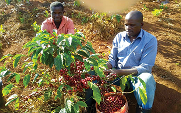FARMERS EMPOWERMENT